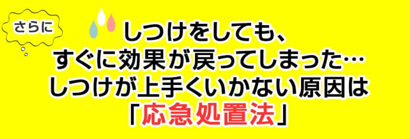 イヌバーシティ 開発経緯