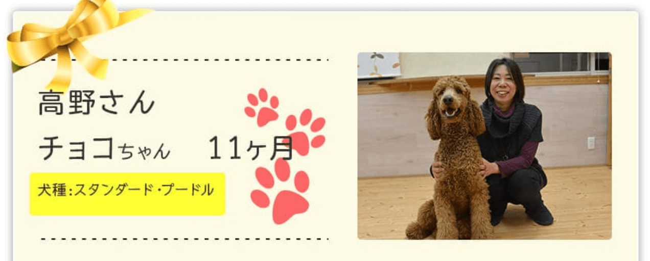 イヌバーシティ 大型犬