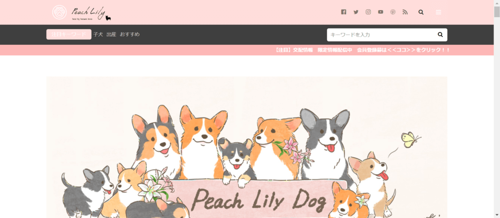 Peach Lily Dog