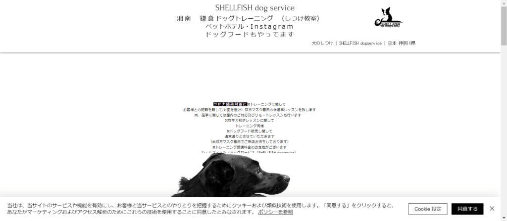 SHELLFISH dogservice