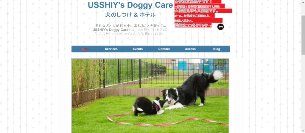 USSHIY's Doggy Care