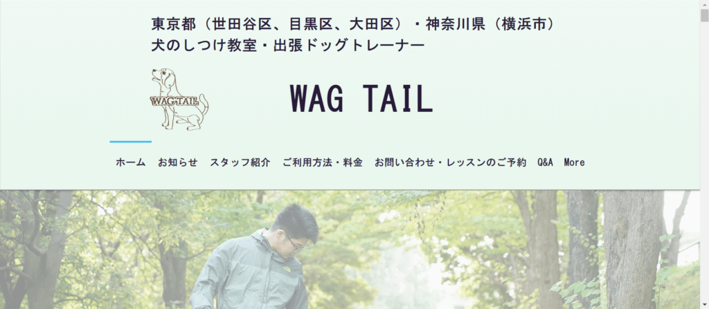 WAG TAIL