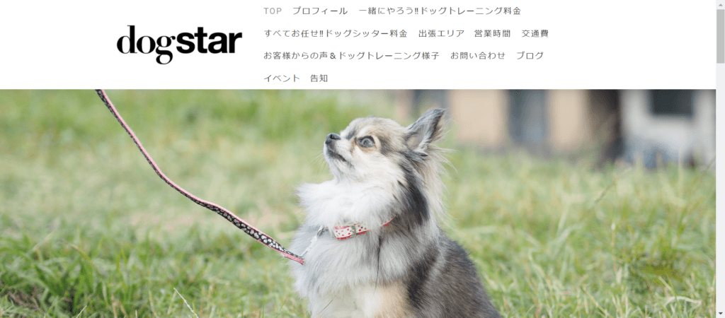 dogSTAR