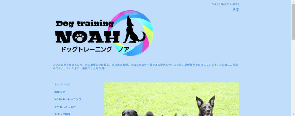 dogtraining noah