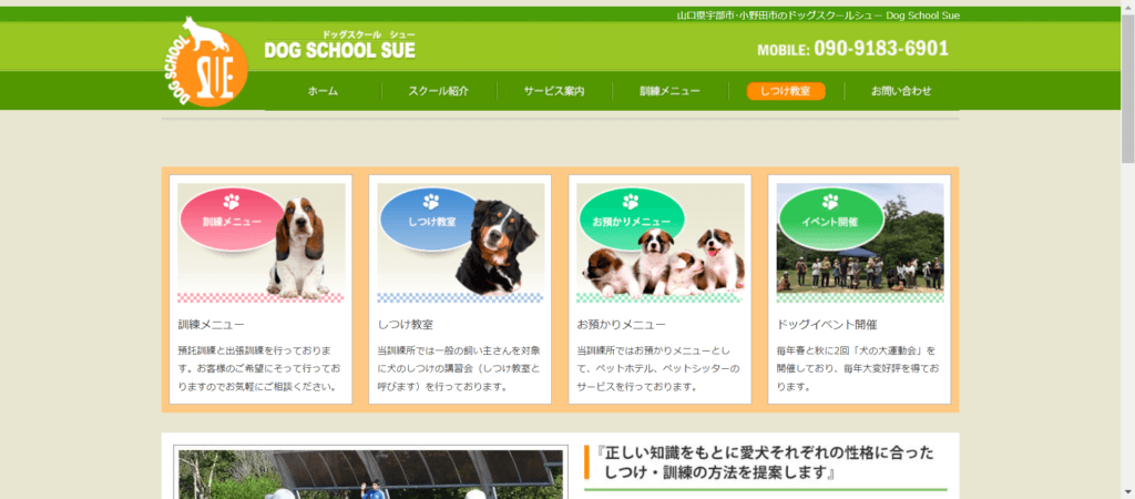 ドッグスクールシュー（Dog School Sue）