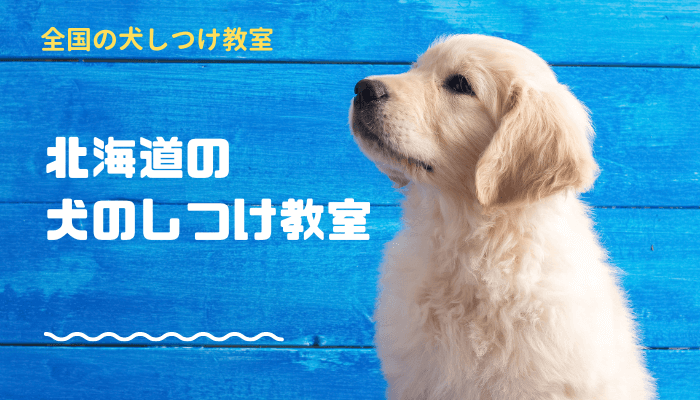 北海道 犬しつけ教室