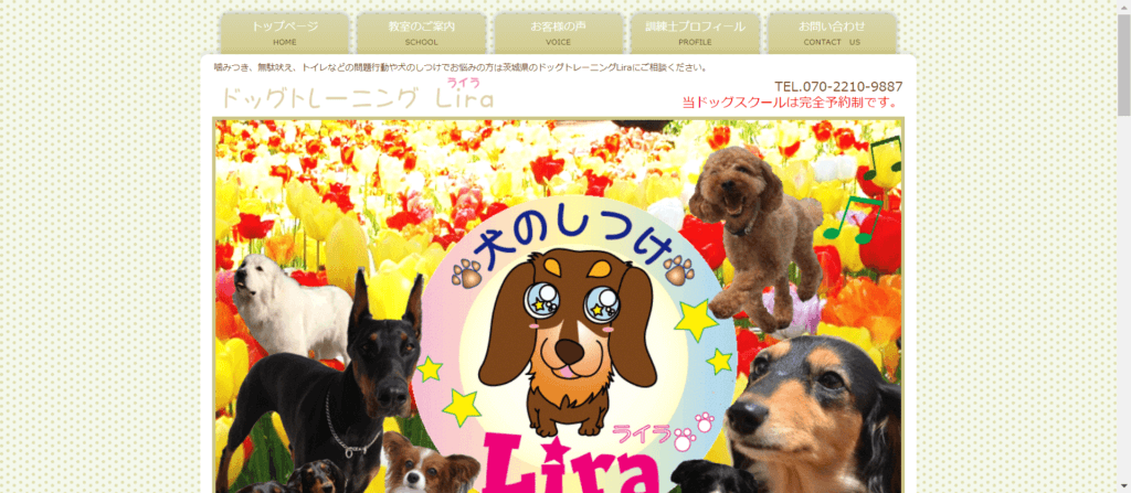 犬のしつけLira(ﾗｲﾗ)