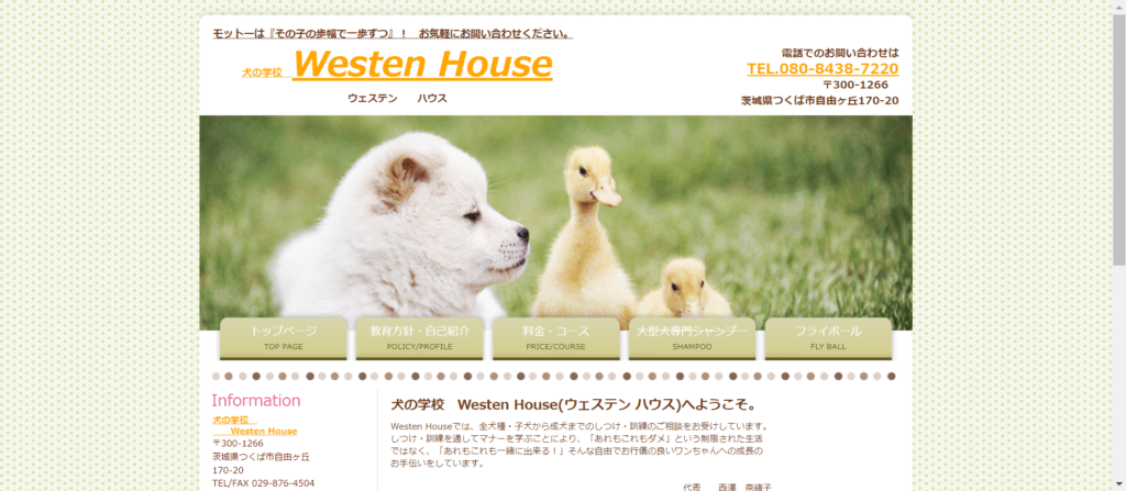 犬の学校 Westen House