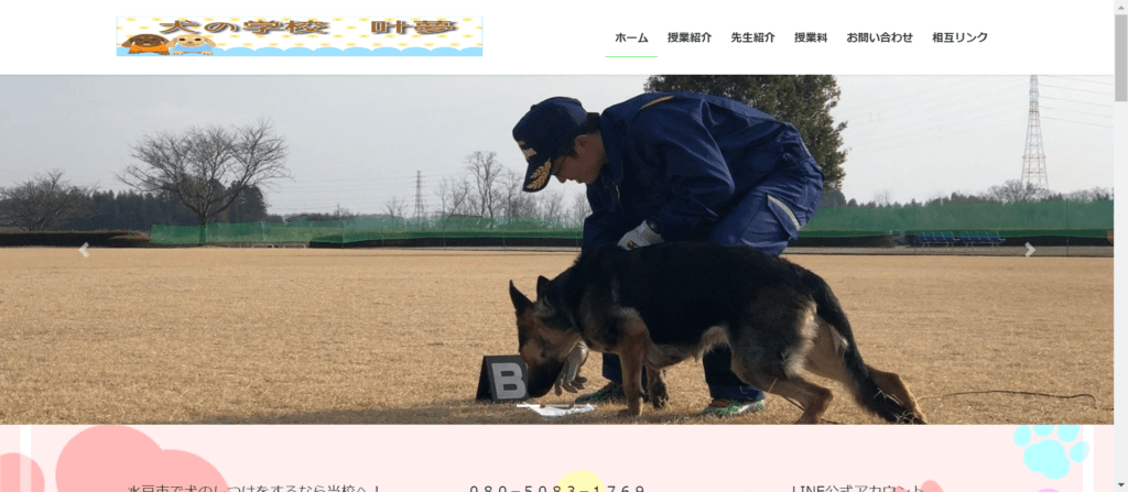 犬の学校 叶夢(トム)