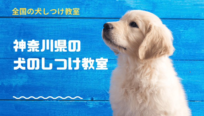 神奈川県 犬しつけ教室