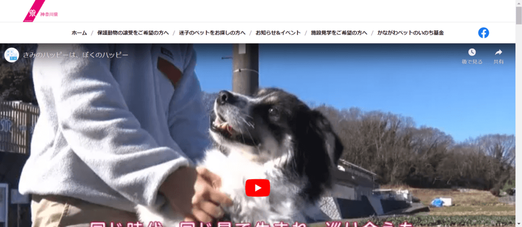 神奈川県動物愛護センター